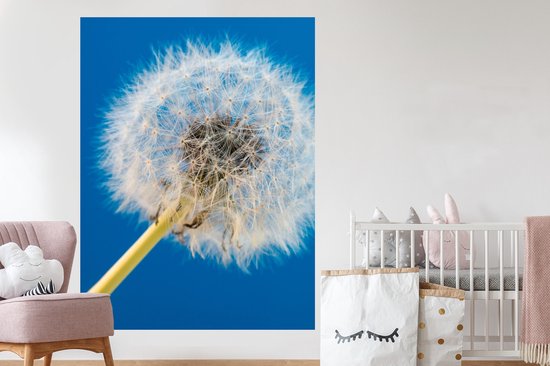 Stickers muraux - Film autocollant - Pissenlit - Bloem - Terrasse - 120x160 cm - Film adhésif - Stickers muraux Chambre d'enfant - Papier peint autocollant XXL