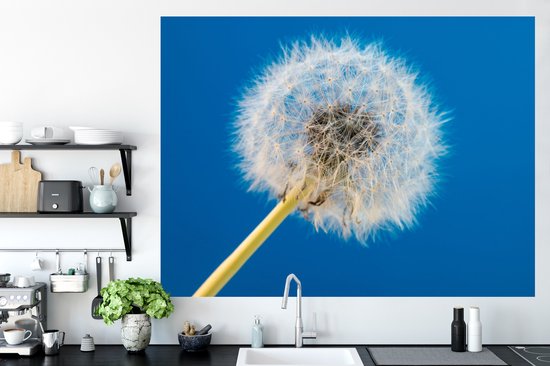 Stickers muraux - Film autocollant - Pissenlit - Bloem - Terrasse - 160x120 cm - Film adhésif - Stickers muraux Chambre d'enfant - Papier peint autocollant XXL