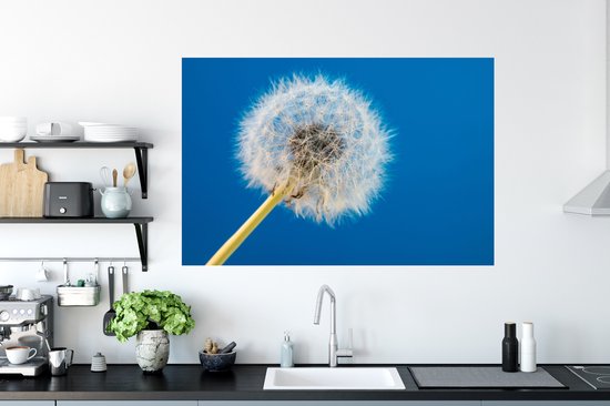 Stickers muraux - Film autocollant - Pissenlit - Bloem - Terrasse - 120x80 cm - Film adhésif - Stickers muraux Chambre d'enfant - Papier peint autocollant