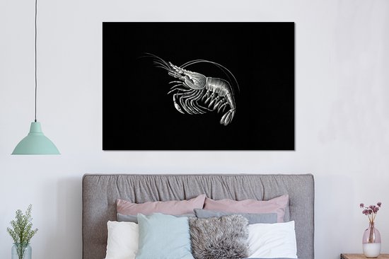 Décoration murale Métal - Peinture Aluminium Industriel - Crevettes - Vintage - Ernst Haeckel - Animaux - Art - 150x100 cm - Dibond - Photo sur aluminium - Décoration murale industrielle - Pour le salon/chambre