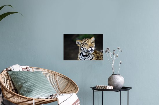 Stickers muraux - Léopard - Tête - Forêt - 30x20 cm - Film Adhésif