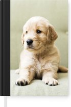 Notitieboek - Schrijfboek - Golden Retriever puppy liggend op de bank - Notitieboekje klein - A5 formaat - Schrijfblok