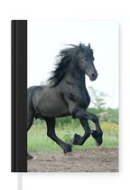Notitieboek - Schrijfboek - Paard - Zwart - Natuur - Notitieboekje klein - A5 formaat - Schrijfblok