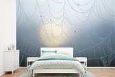 Behang - Fotobehang Dauw op spinnenweb en opkomende zon - Breedte 450 cm x hoogte 300 cm