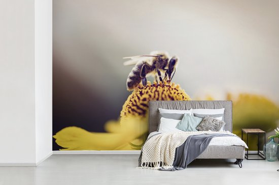 Papier peint Papier peint photo en vinyle - Abeille sur une fleur jaune largeur 450 cm x hauteur 300 cm - Tirage photo sur papier peint (disponible en 7 tailles)