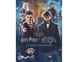 Harry Potter - 1 - 7.2 Collection + Fantastic Beasts 1 - 3 (DVD)