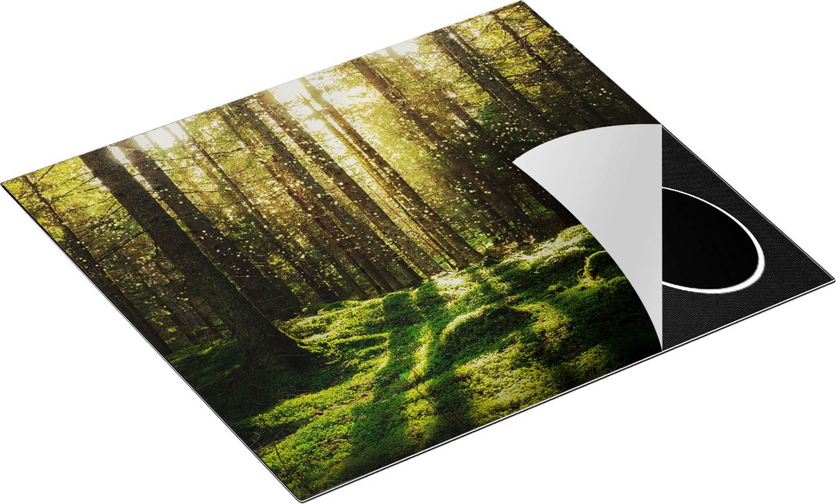 Chefcare Inductie Beschermer Bos met Groen Mos op de Grond - 60x52 cm - Afdekplaat Inductie - Kookplaat Beschermer - Inductie Mat