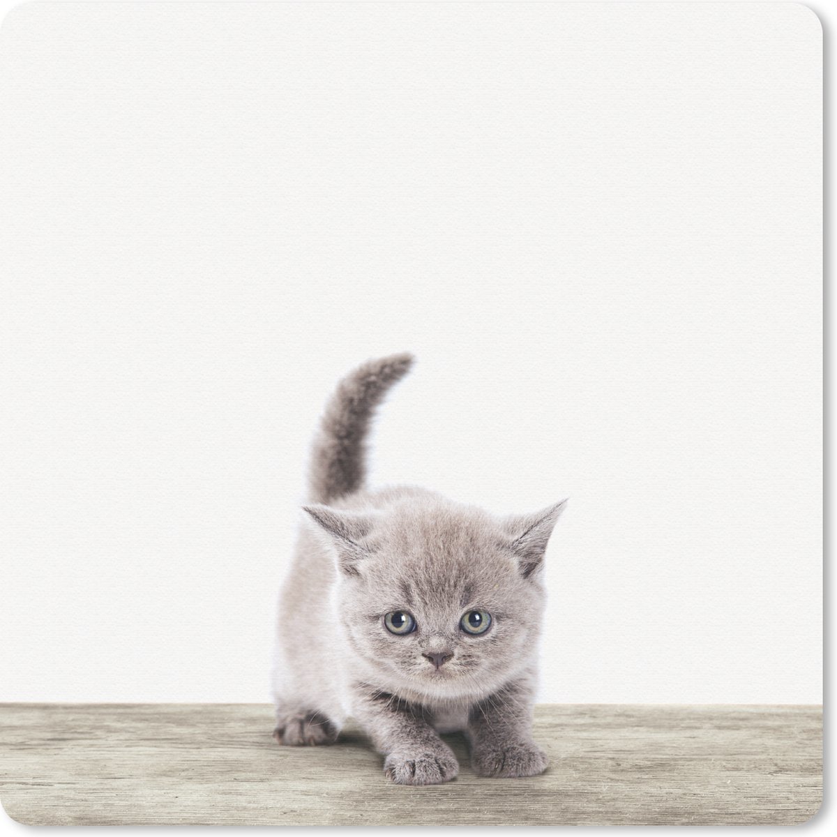Muismat 30x30 cm - Mousepad Kitten - Kat - Huisdieren - Jongens - Kinderen - Meisjes - Muismatten