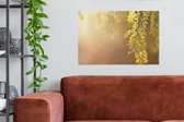 Canvas Schilderij Close up van gele acacia bloemen tegen zonlicht - 90x60 cm - Wanddecoratie
