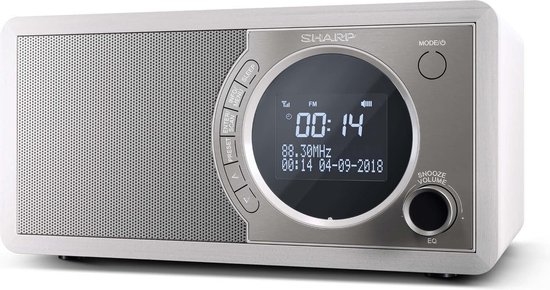 RADIO DAB PORTATILE  DR-P350 - Sharp Europe