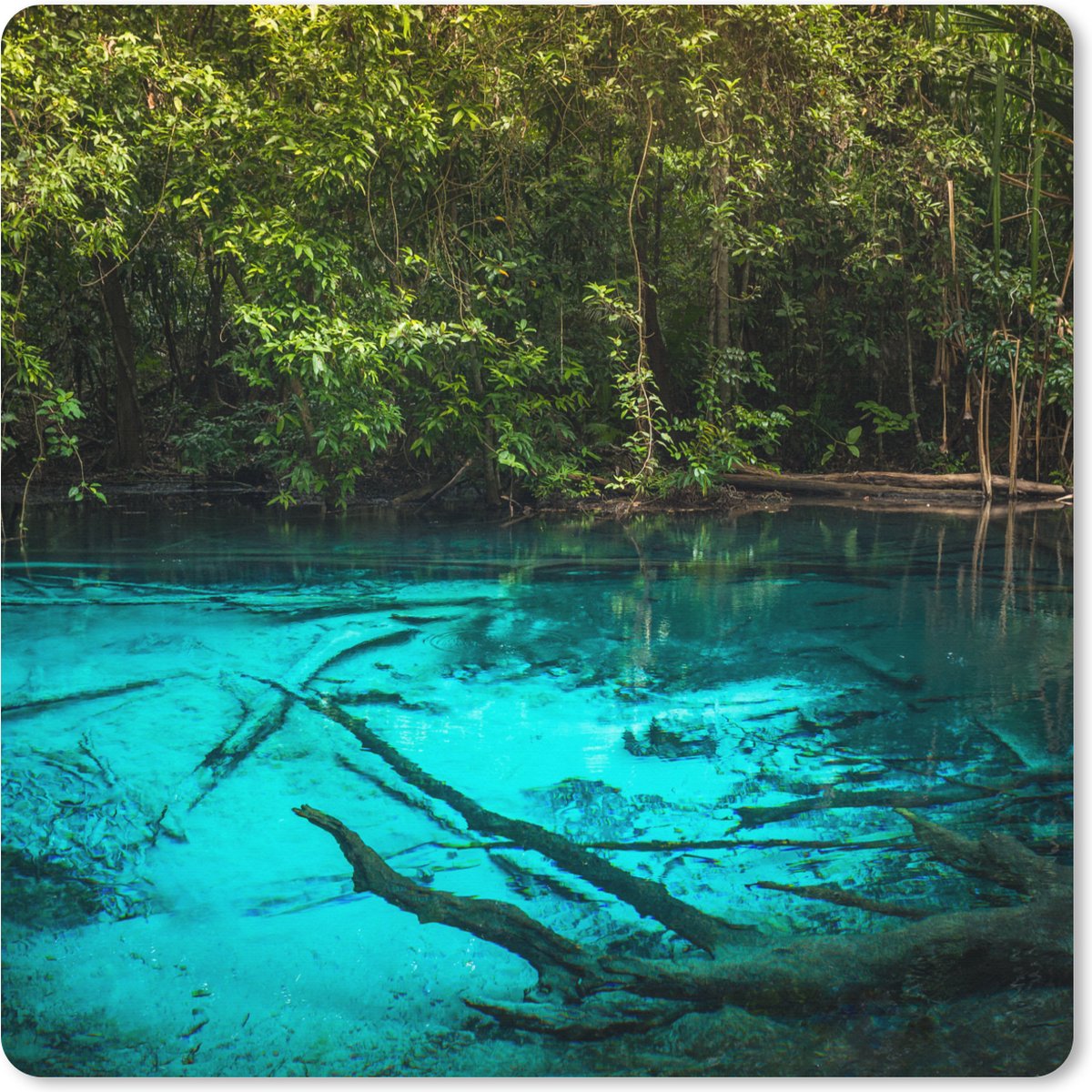 Muismat XXL 60x60 cm - Bureau onderlegger - Bureau mat Helderblauw meer in de jungle - Bureaumat - Gaming mousepad xl - Bureaulegger groot - Computer deskmat