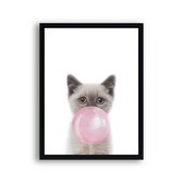 Poster Poesje / kitten met roze kauwgom / Kauwgombel / 50x40cm