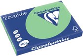 Clairefontaine Trophée Pastel, gekleurd papier, A3, 120 g, 250 vel, natuurgroen 5 stuks