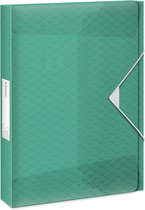Esselte Colour'Breeze A4 Documentenbox voor 200 Vellen - Dosiermap met een Rugbreedte van 25mm - Groen