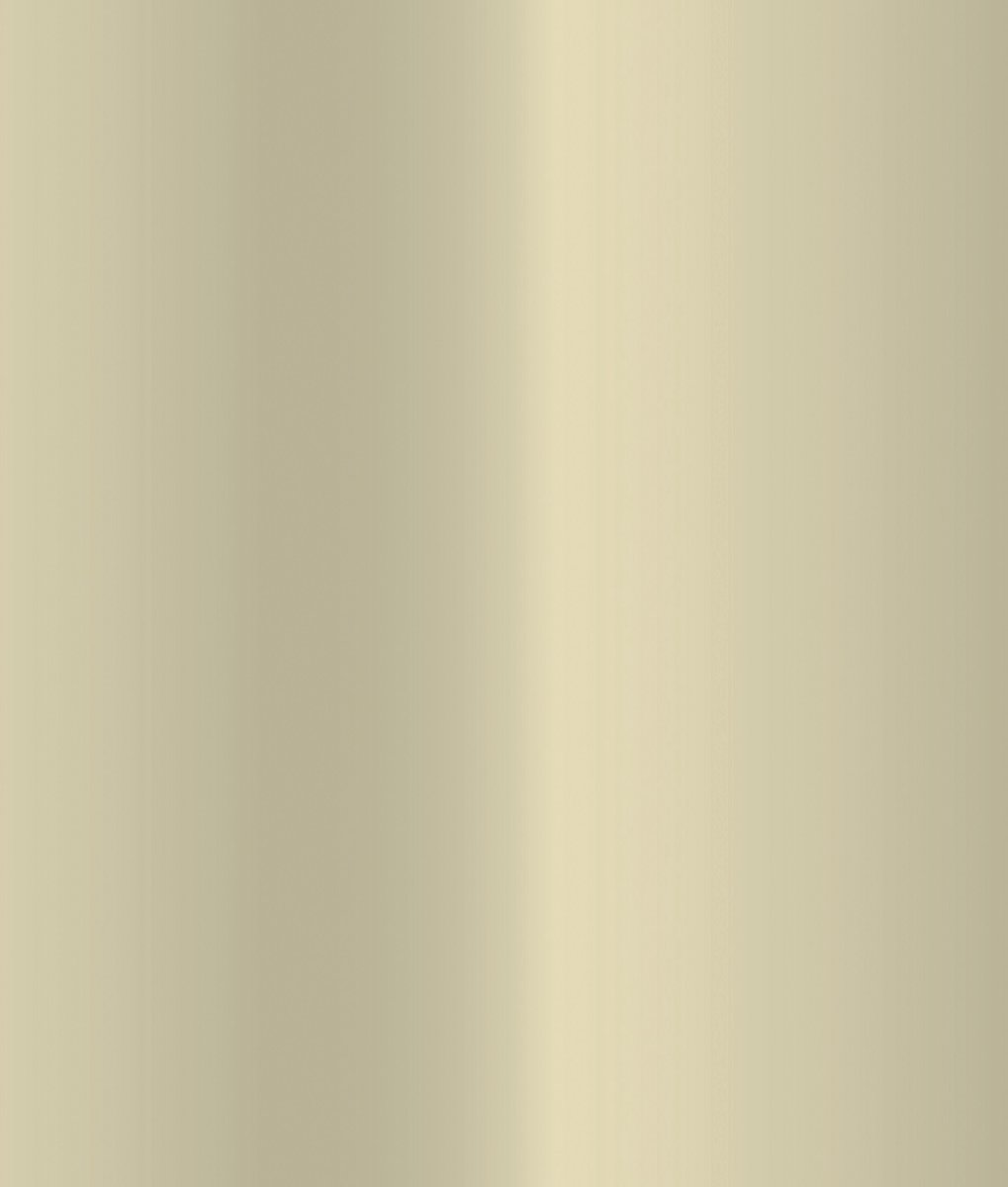 d-c-fix Raamfolie - 90x200cm - Goud - Transparant - Statisch - Zonwerend