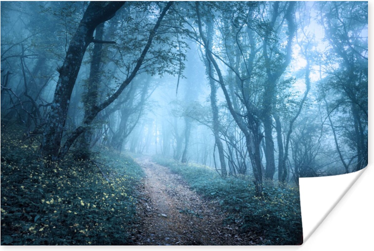 Poster Bomen - Natuur - Mist - 60x40 cm