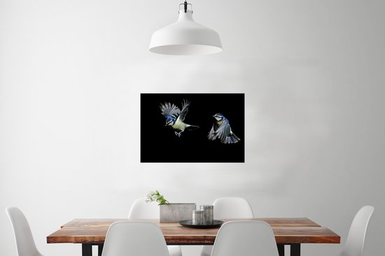 Poster Flycatchers sur fond noir papier 60x40 cm - Tirage photo sur Poster (décoration murale salon / chambre) / Poster Animaux sauvages