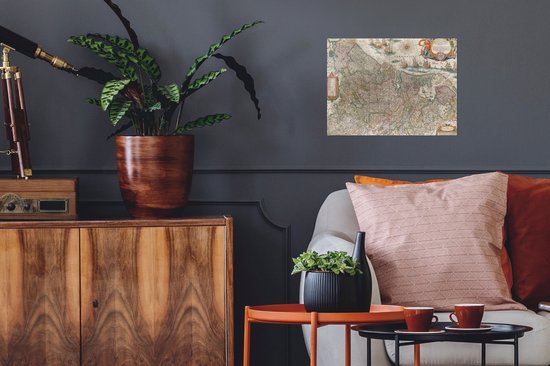 Carte historique des Pays-Bas accrochée à un mur au-dessus d'une commode avec des plantes.