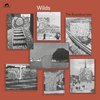 Soundcarriers - Wilds (LP)