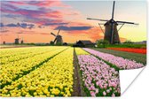 Poster Tulpen - Windmolen - Natuur - 120x80 cm