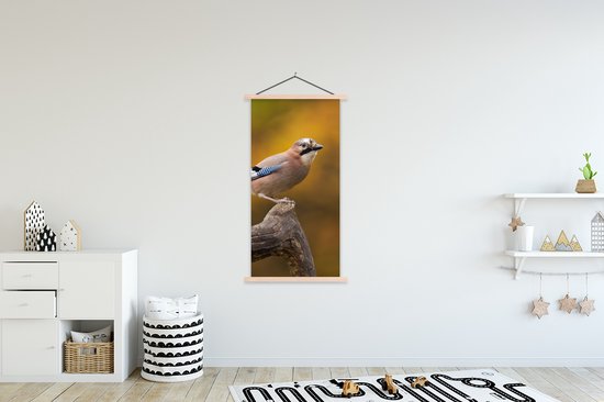 Porte-affiche avec affiche - Affiche scolaire - Vogel - Branche - Geai - 90x180 cm - Lattes vierges