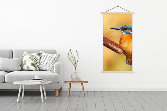 Porte-affiche avec affiche - Affiche scolaire - Martin-pêcheur - Nature - Vogel - 90x180 cm - Lattes vierges