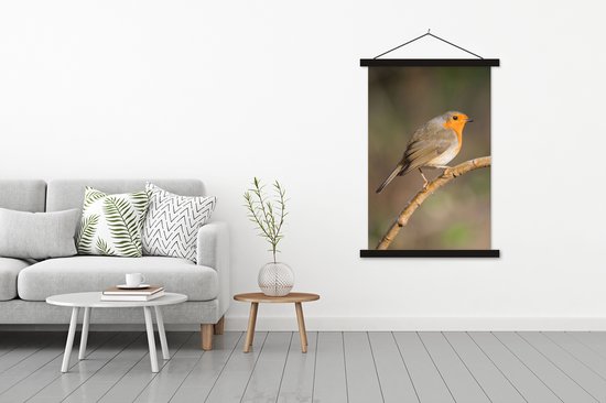 Porte-affiche avec affiche - Affiche scolaire - Robin - Vogel - Nature - 120x180 cm - Lattes noires