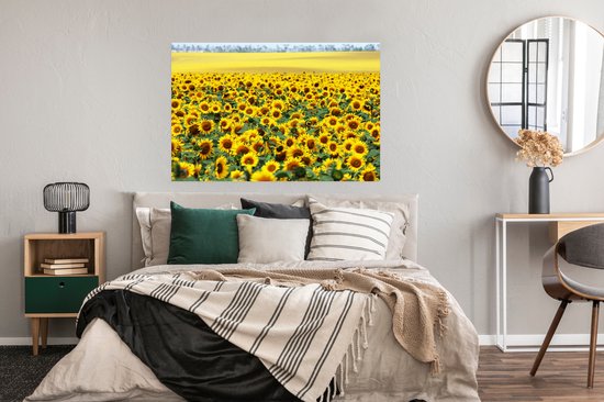 Poster Tournesol - Fleurs - Nature - 120x90 cm