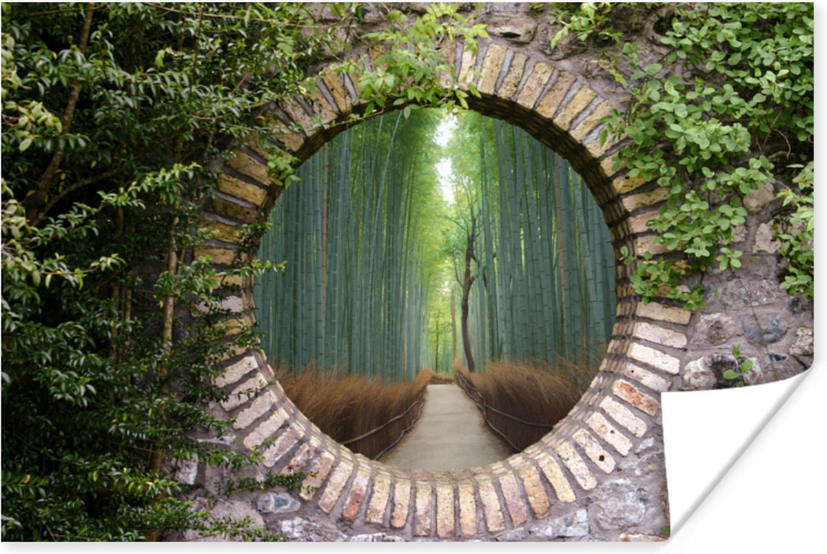 Poster Bamboe - Bos - Japans - Doorkijk - 60x40 cm