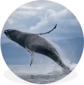 WallCircle - Wandcirkel ⌀ 60 - Uit het water springende walvis - Ronde schilderijen woonkamer - Wandbord rond - Muurdecoratie cirkel - Kamer decoratie binnen - Wanddecoratie muurcirkel - Woonaccessoires