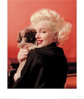 Marilyn Monroe Love Art Print 40x50cm | Poster