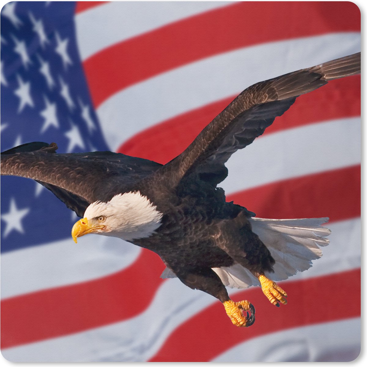 Muismat XXL 40x40 cm - Bureau onderlegger - Bureau mat Amerikaanse zeearend voor de Amerikaanse vlag - Bureaumat - Gaming mousepad xl - Bureaulegger groot - Computer deskmat