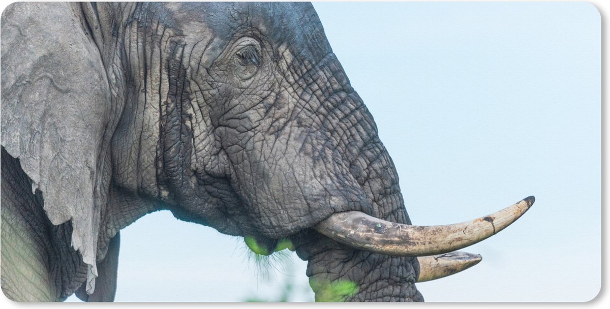 Muismat XXL 80x40 cm - Bureau onderlegger - Bureau mat Olifant - Dieren - Grijs - Natuur - Bureaumat - Gaming mousepad xl - Bureaulegger groot - Computer deskmat