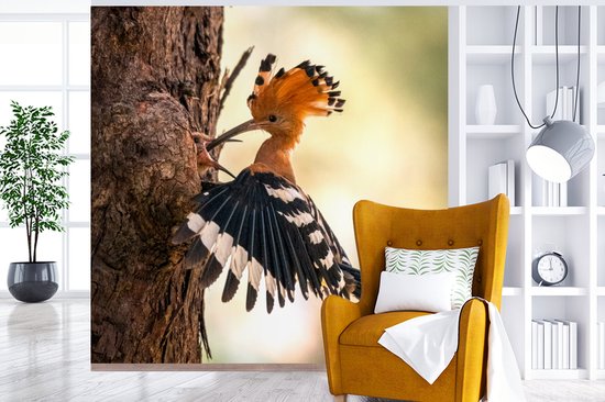 Papier Peint - Papier peint photo Vogel - Arbre - Forêt - Largeur 300 cm x Hauteur 300 cm