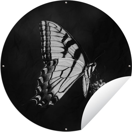 Tuincirkel Papilio glaucus vlinder op een vlinderstruik - zwart wit - 60x60 cm - Ronde Tuinposter - Buiten