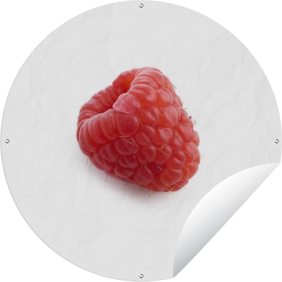 Tuincirkel Framboos - Rood - Fruit - 60x60 cm - Ronde Tuinposter - Buiten