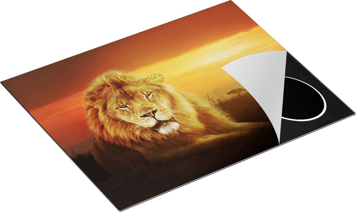 Chefcare Inductie Beschermer Leeuw in de Savanne - Zonsondergang - 65x52 cm - Afdekplaat Inductie - Kookplaat Beschermer - Inductie Mat