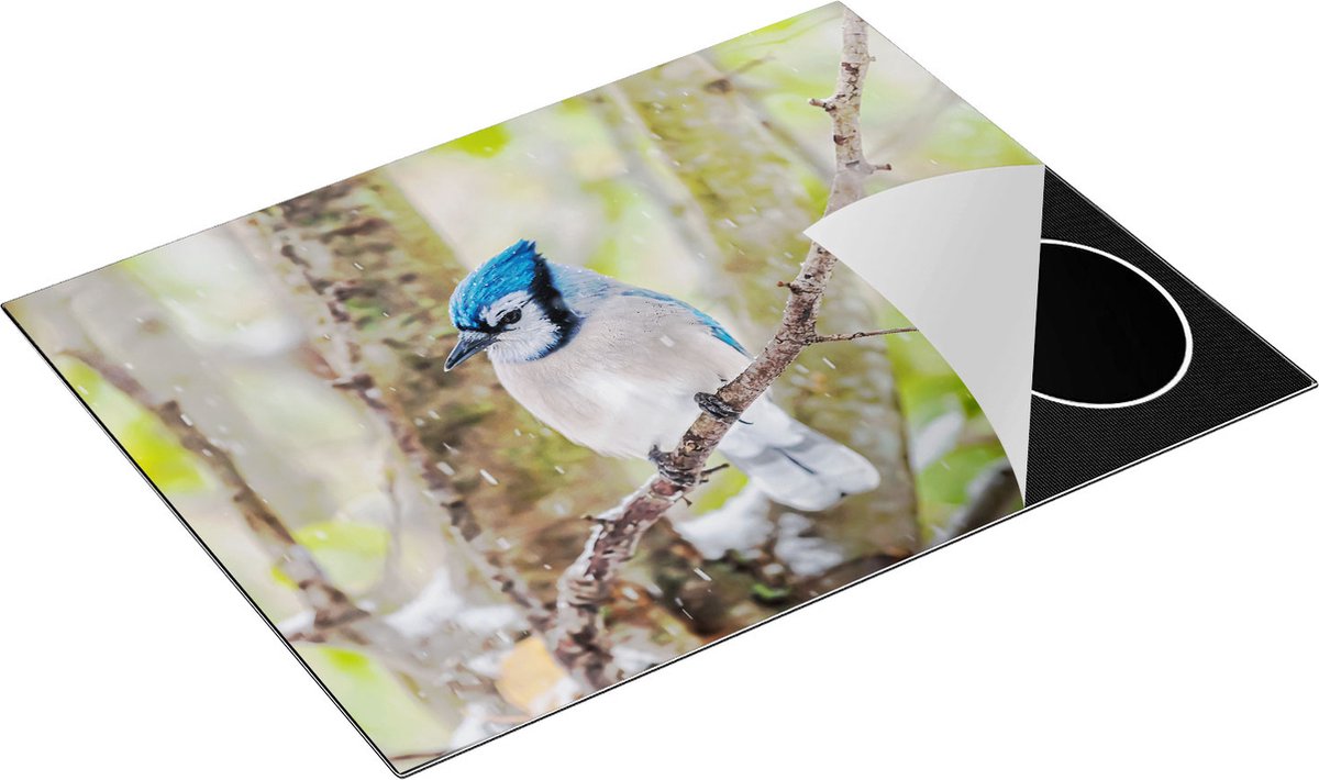 Chefcare Inductie Beschermer Blauwe Gaai Vogel in de Sneeuw - 77x59 cm - Afdekplaat Inductie - Kookplaat Beschermer - Inductie Mat
