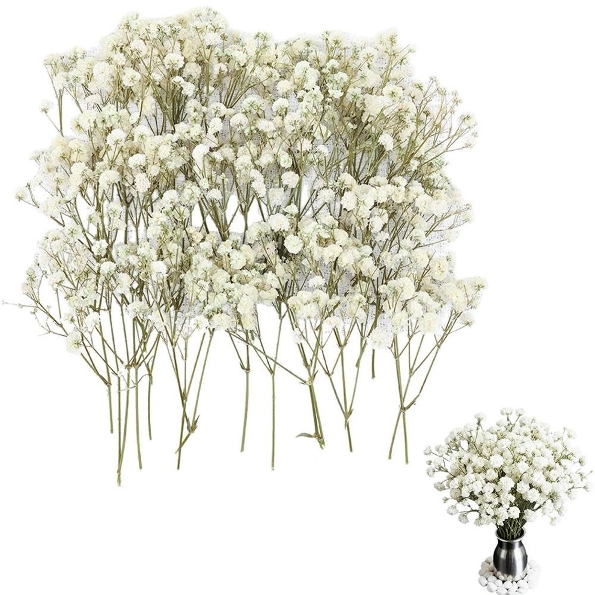 SolidKeus - 100 Stuk Gedroogde Drukbloemen voor Creatieve Projecten