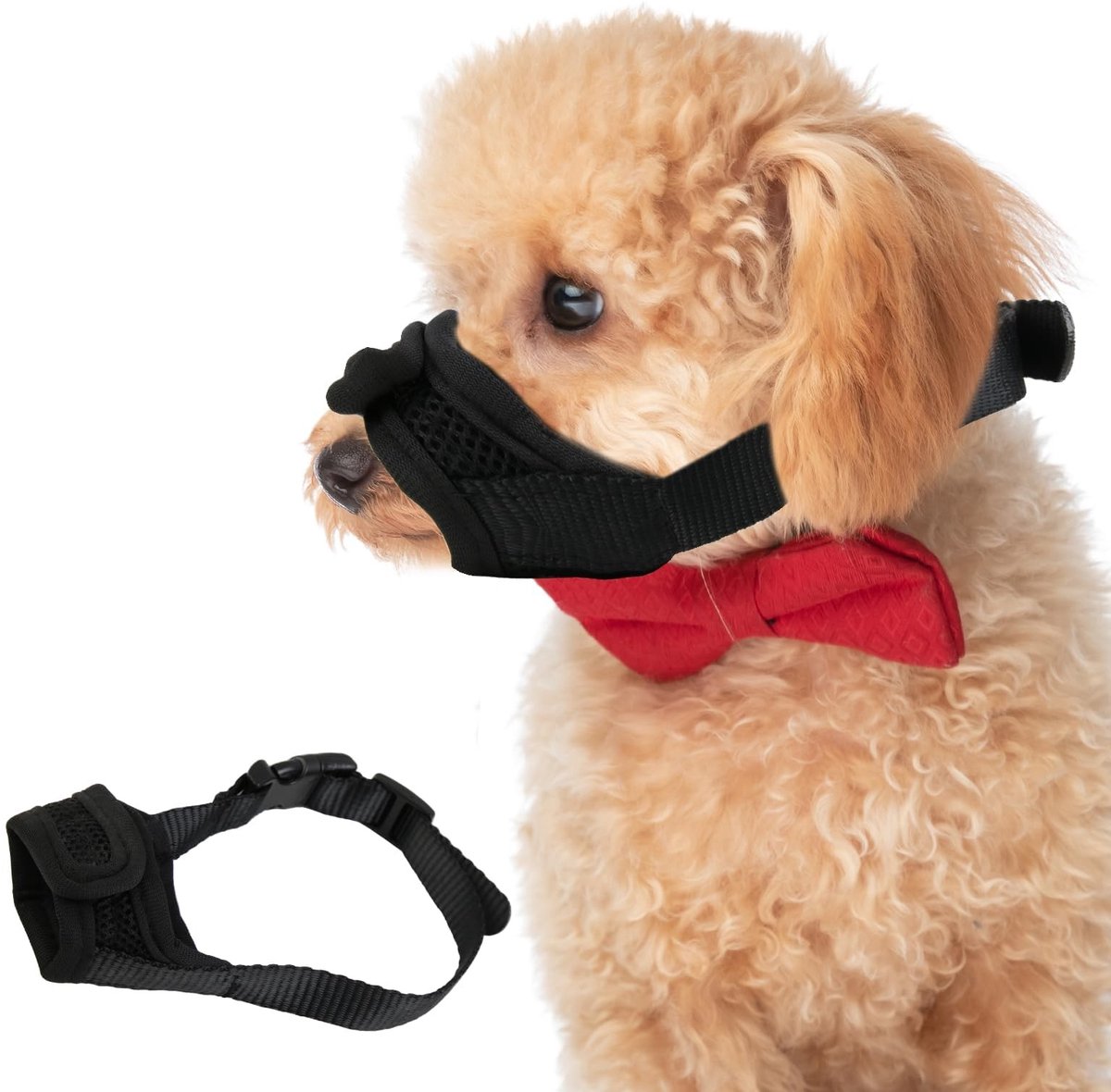 SolidKeus - Verstelbare Nylon Hondenmuilekorf voor Kleine Honden