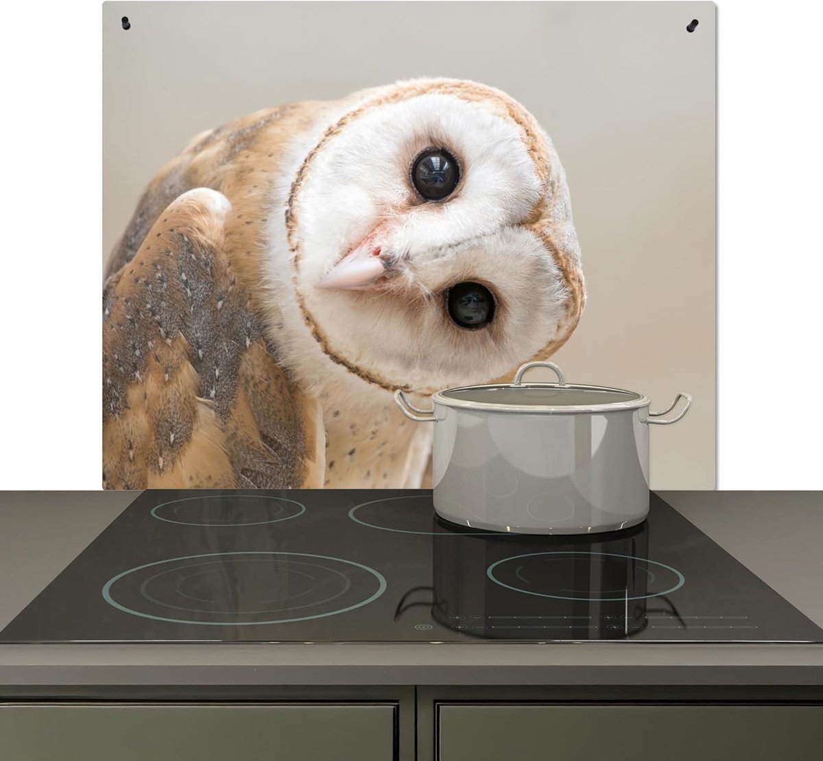 Spatscherm Keuken 52x60 cm Kookplaat Achterwand Beschermer Muur Spatwand Fornuis Aluminium Hittebestendig - Kerkuil - Dier - Beige - Uil | 60x52 cm - Protector, fornuisafdekplaat keramische plaat sluier uil - dier - beige - uil