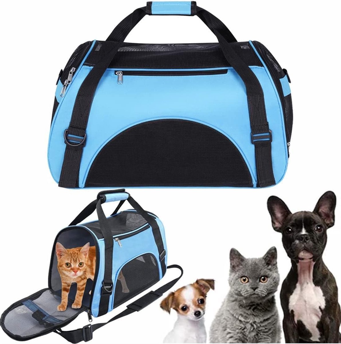 Katten vervoersbox - Blauw - 50 x 23 x 34 cm - Waterdichte Oxford Draagtas - Voor Kleine Honden en Katten
