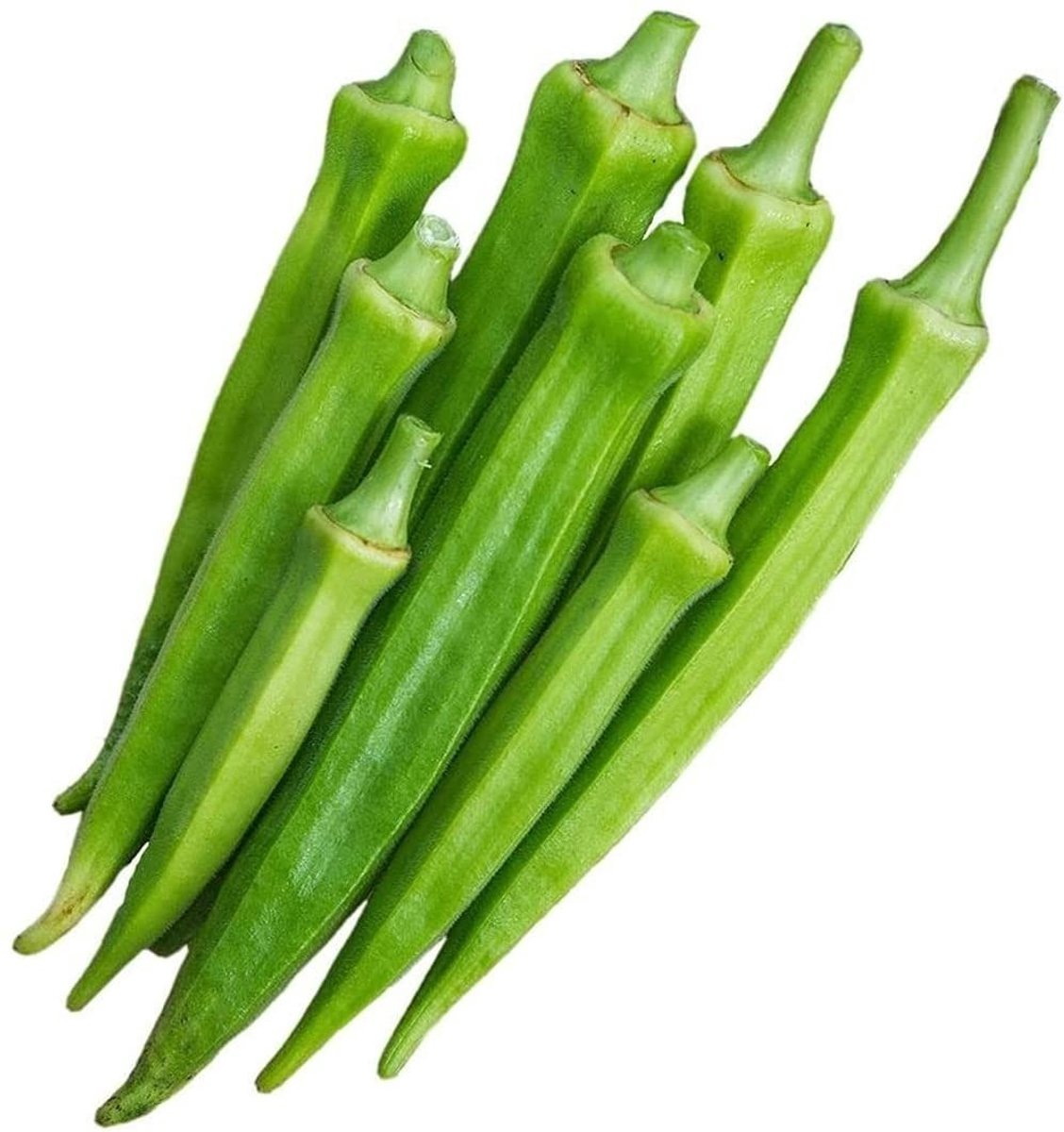 Elzusha - Set van 50 Okra Zaden voor Binnen en Buiten