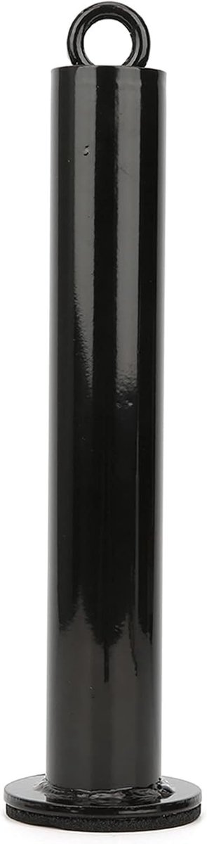 Stevige Ondersteuningsbeugel voor Halters, RVS Vaste Beugel met Oplaadpin voor Thuisgym, Krachttraining en Fitness (48mmx320mm)