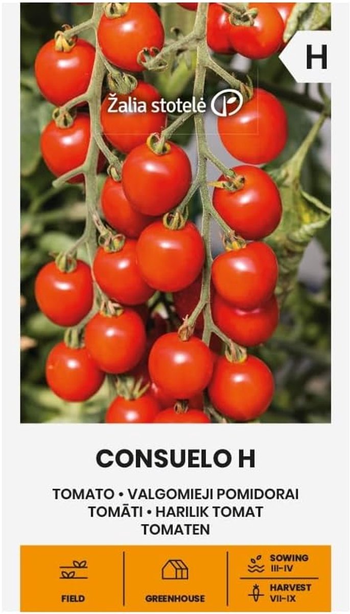 Zalia stotele - Tomato – Consuelo H seeds - Vegetable seeds - Plant seeds - Tomato seeds - ShopVlot