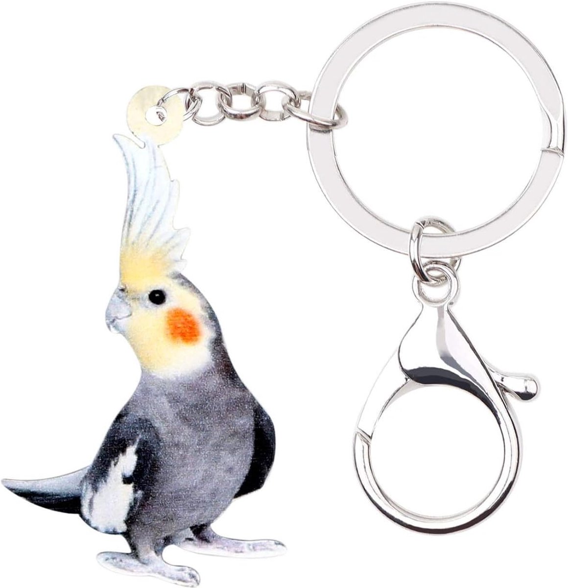 Acrylic Parrot Keychain Parakeet Bird Keychains for Car Keys Women Girls Backpack Wallet Charms - ShopVlot
