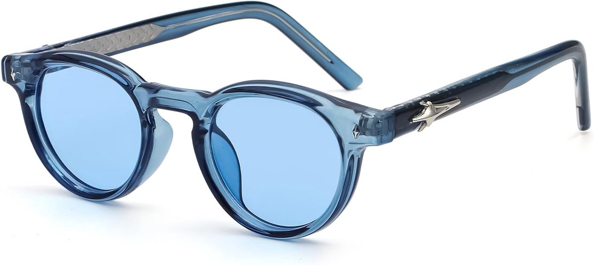 Retro Sunglasses Men Women Round - New Embedded Metal Frame with Propionic Acid Round 70s Vintage Small Face Glasses - ShopVlot