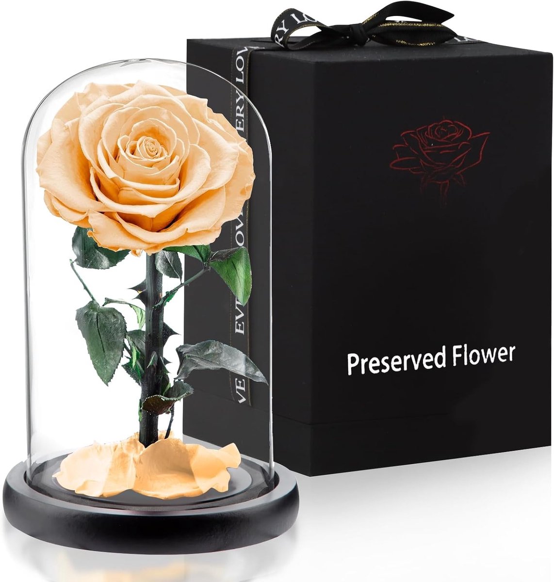 Eternal rose onder glas - tijdloze bloemen, liefde cadeau, verjaardagscadeau voor vrouwen, moederdag, bruiloft, kerstcadeau, romantisch geschenk