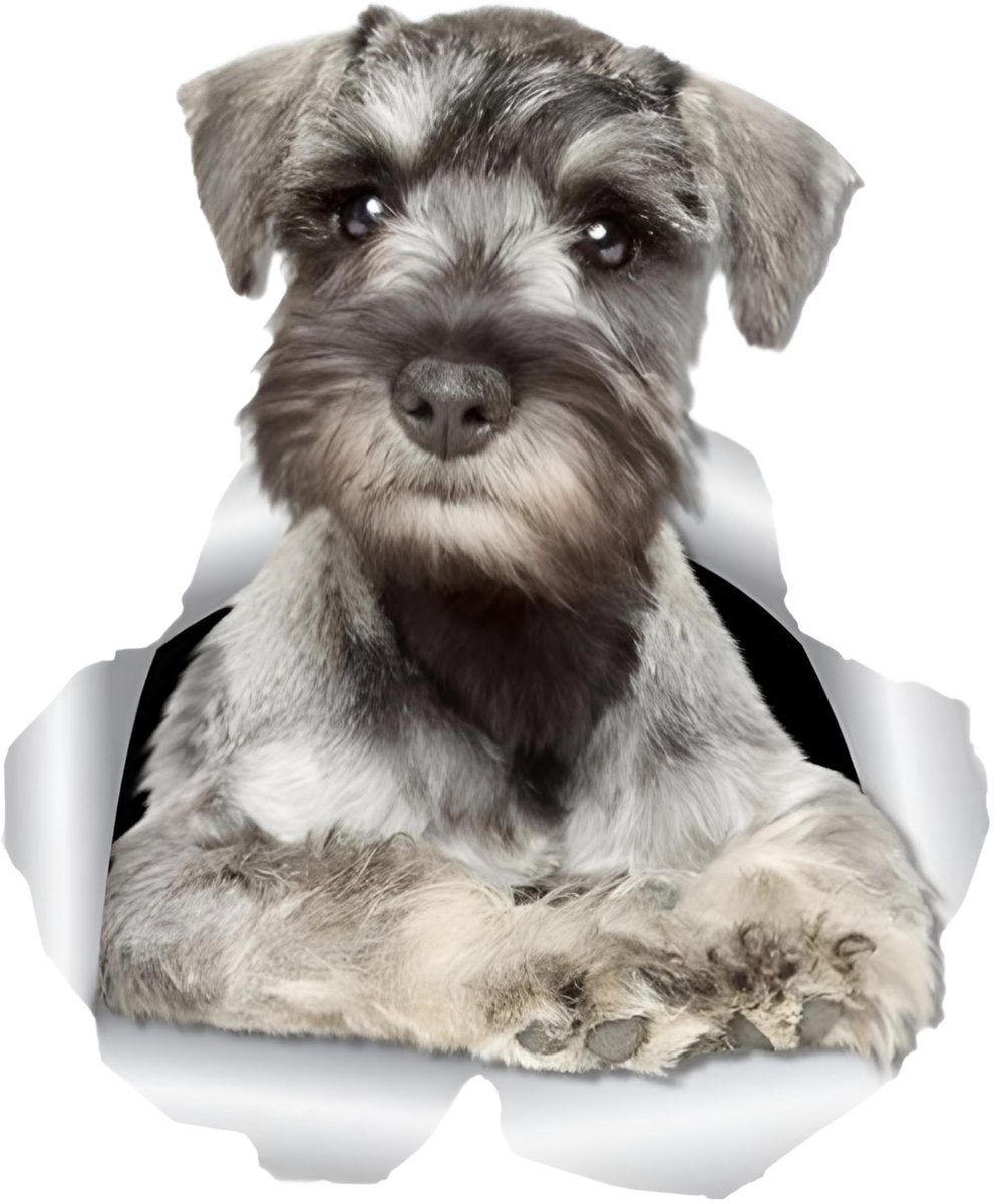 Solidchoice - 3D Waterdichte Autosticker Standaard Schnauzer