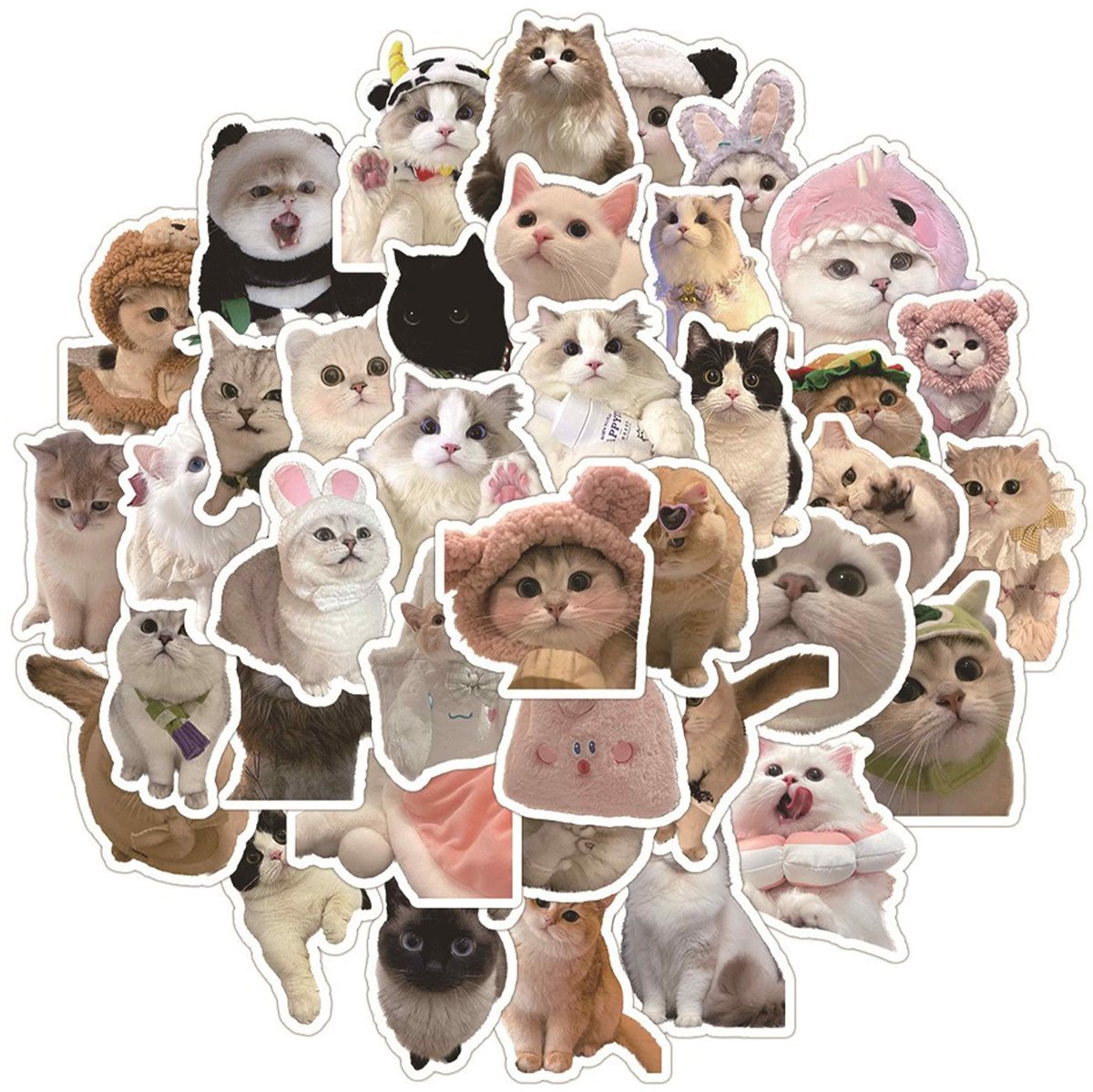Solidchoice - Set van 60 Waterdichte Vinyl Kat Stickers voor Kattenliefhebbers
